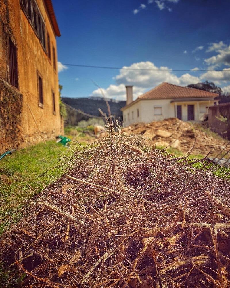 Earth Moving - Clearing brambles at a nossa Casa Grande