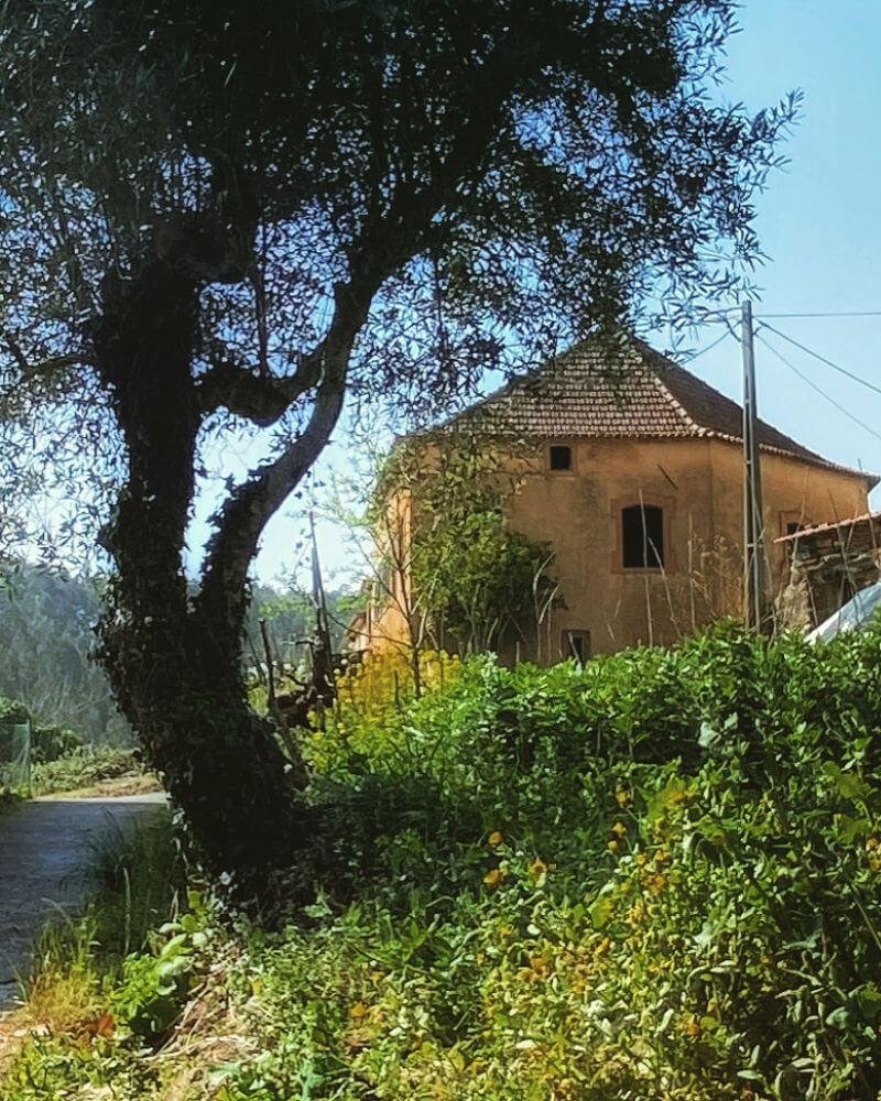 Casa Grande - About Us