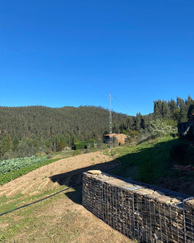 A gabion wall with a view