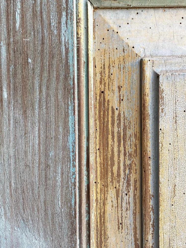 Wonderful textures and colour in the wood