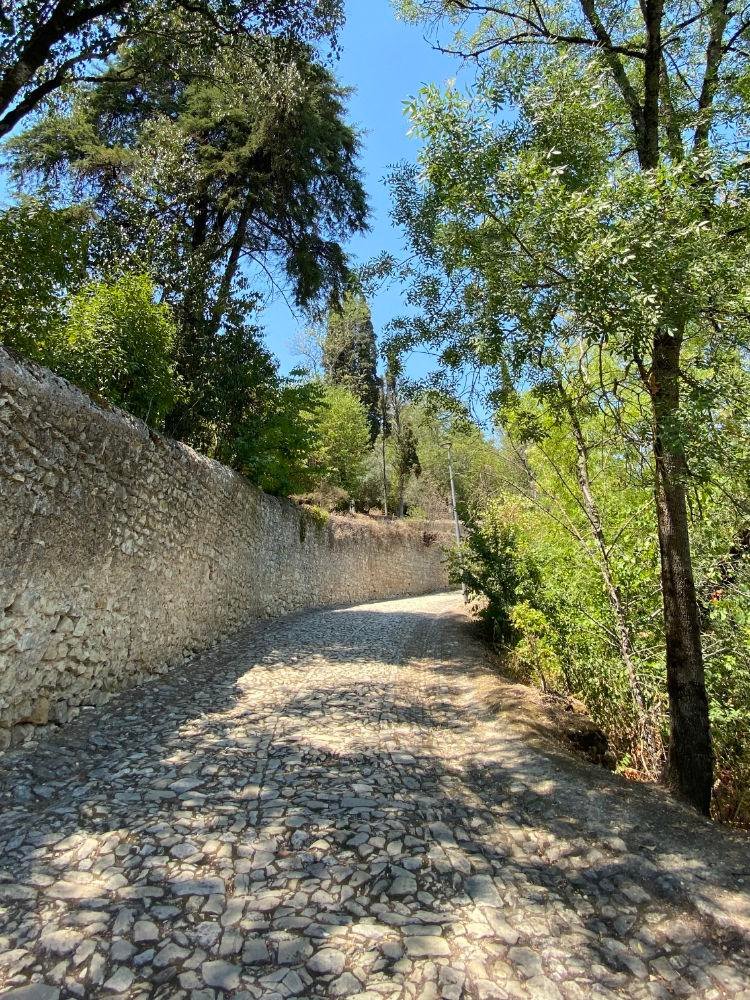 Cobbled street to the Convento de Cristo Cobbled street to the Convento de Cristo